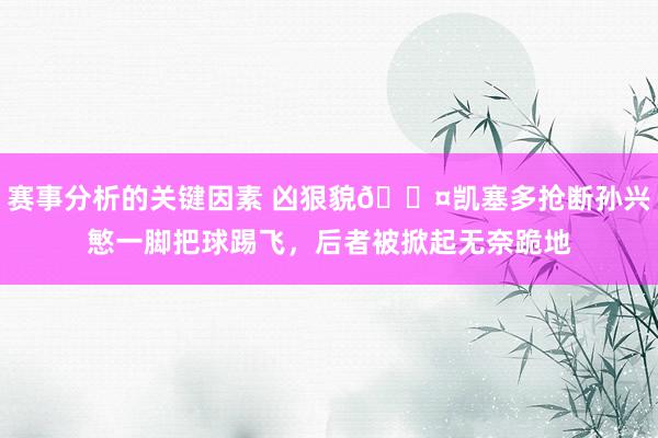 赛事分析的关键因素 凶狠貌😤凯塞多抢断孙兴慜一脚把球踢飞，后者被掀起无奈跪地